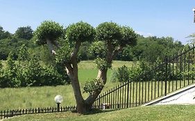 Villa Elisa Relax